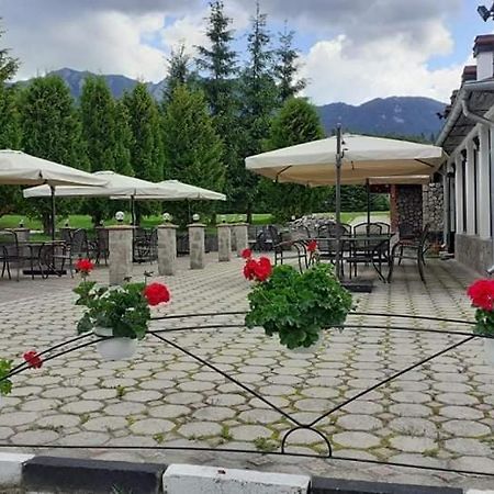 Hotel Cheia شيا المظهر الخارجي الصورة