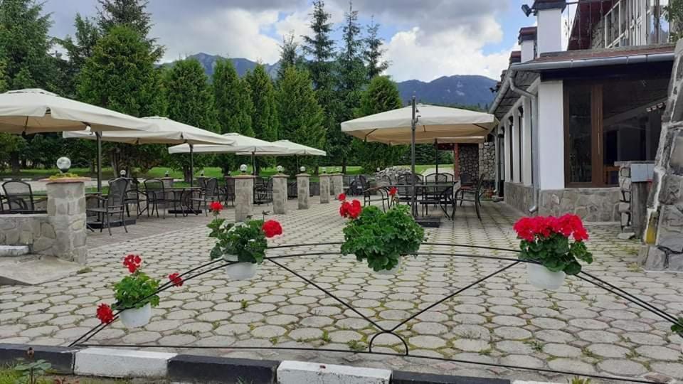 Hotel Cheia شيا المظهر الخارجي الصورة