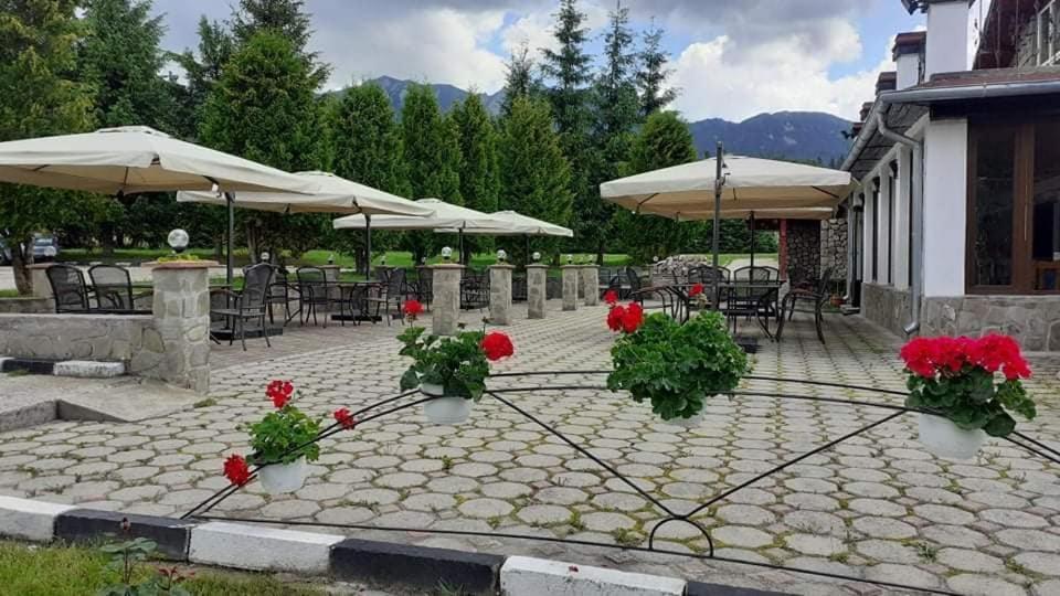 Hotel Cheia شيا المظهر الخارجي الصورة
